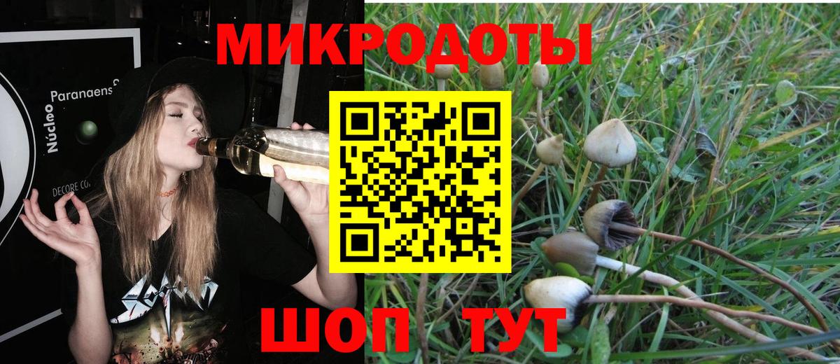Галлюциногенные грибы MAGIC MUSHROOMS  Псилоцибиновые грибы Psilocybine cubensis  наркошоп  Карталы  Вход с VPN 